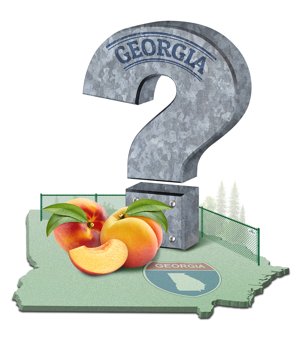 About Us FAQs in the Atlanta Georgia area