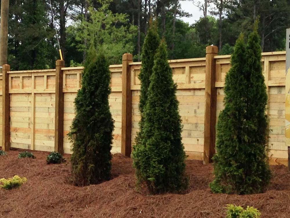 Pool Fence - Atlanta Georgia