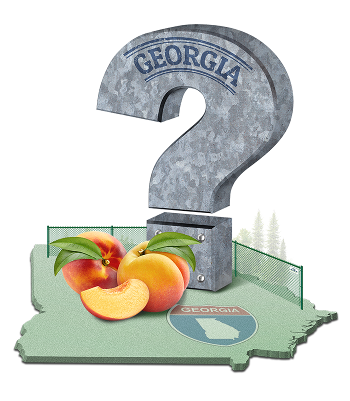 Privacy fence FAQs in the Atlanta Georgia area