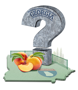 Fence FAQs in Atlanta Georgia