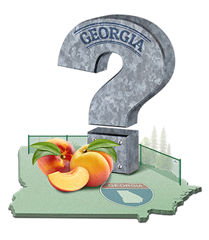 About Us FAQs in the Atlanta Georgia area